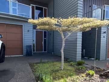 24 The Circle, Nukuhau