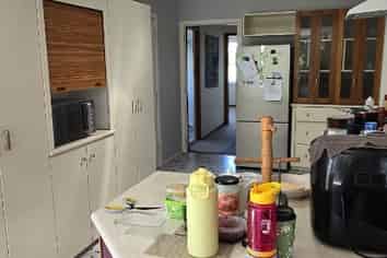 4 Kelvin Place, Hamilton East