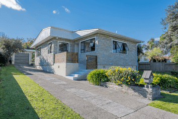 18 Chester Street, Levin