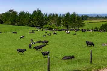 492 Pembroke Road west, Stratford