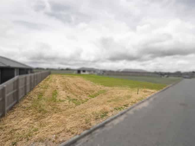  38 George Street, Bulls