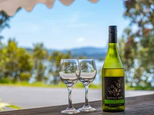 Hospitality Business with Multiple Income Streams 