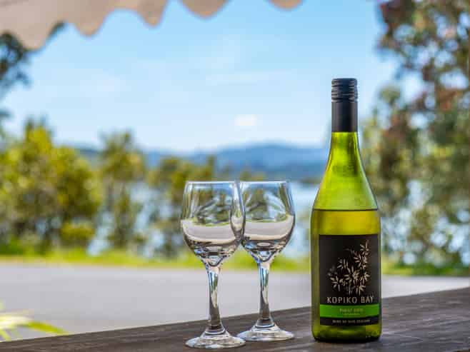 Hospitality Business with Multiple Income Streams 