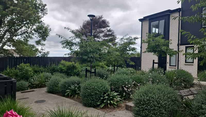 36 Wharara Lane, Massey