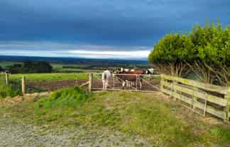 137 Kahikatea Drive, Winton