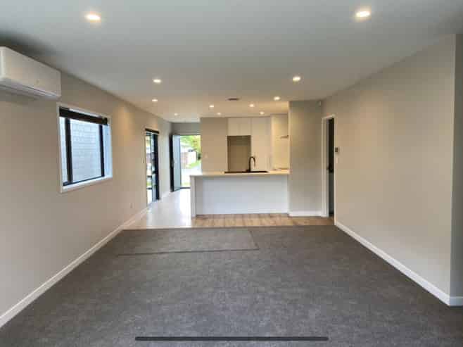 17 Cassidy Street, Hamilton East