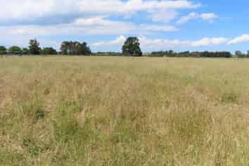 Industrial Development Opportunity