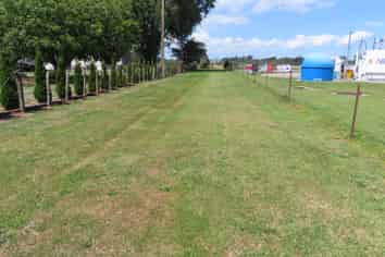 Industrial Development Opportunity