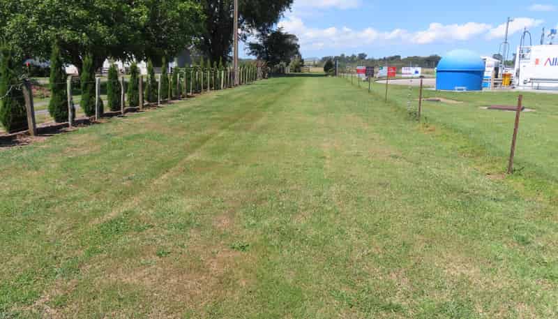 103A Miller Street, Dannevirke