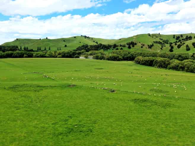 253 Oringi Road, Dannevirke