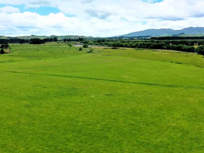 253 Oringi Road, Dannevirke