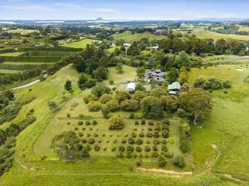 376 Esdaile Road, Whakamarama