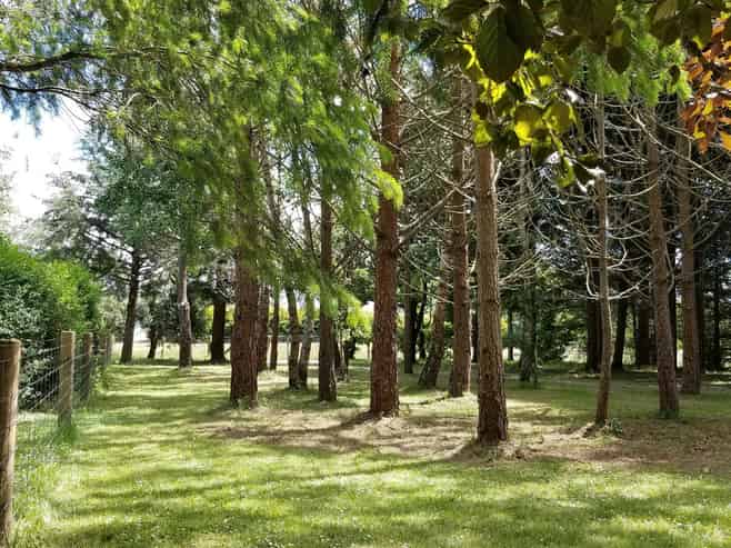 12 Railway Street, Fairlie