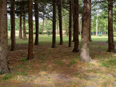 12 Railway Street, Fairlie