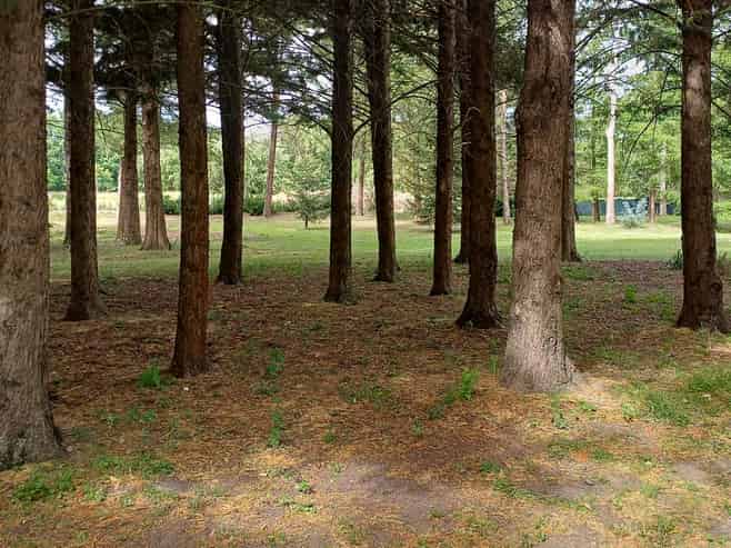 12 Railway Street, Fairlie