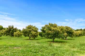 718 Old Coach Road, Pongakawa