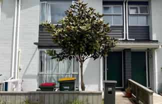 29 Aviation Street, Takanini