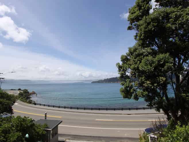 1/136 Evans Bay Parade, Roseneath