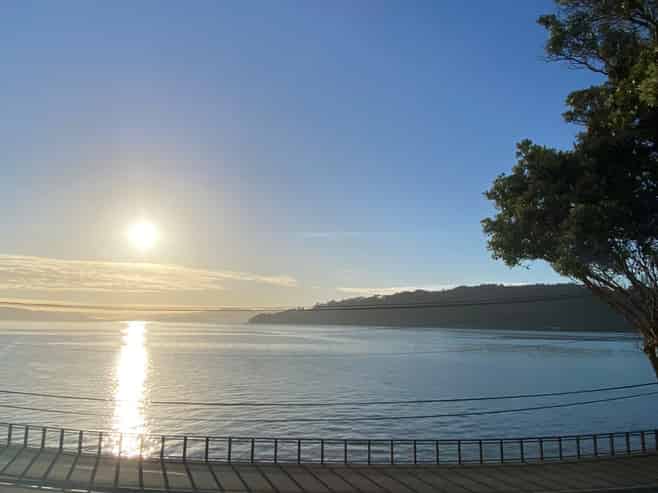 1/136 Evans Bay Parade, Roseneath