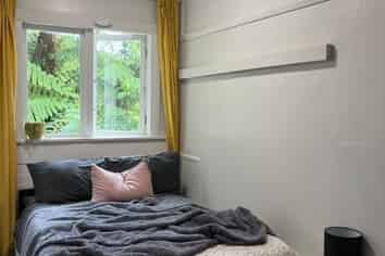 6 Semeloff Terrace, Aro Valley