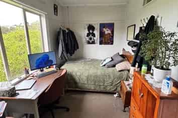 6 Semeloff Terrace, Aro Valley