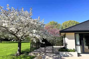 290 Queen Elizabeth II Drive, Mairehau