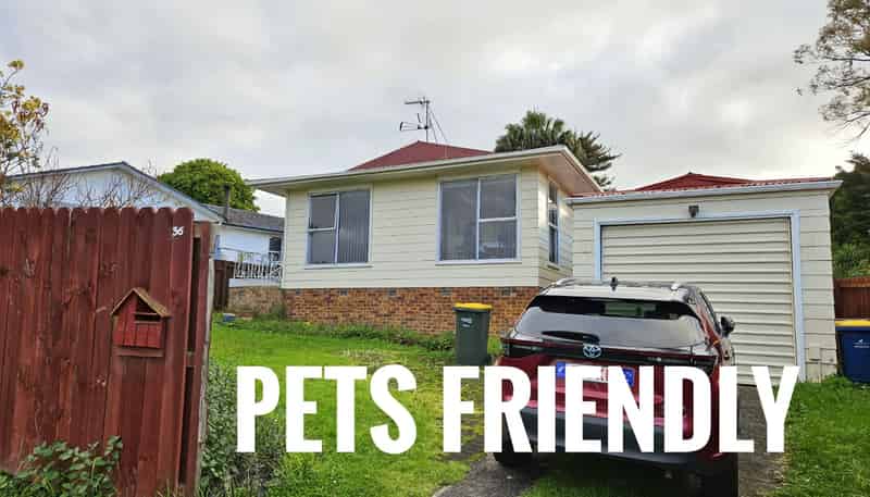 36 Eyre Street, Henderson