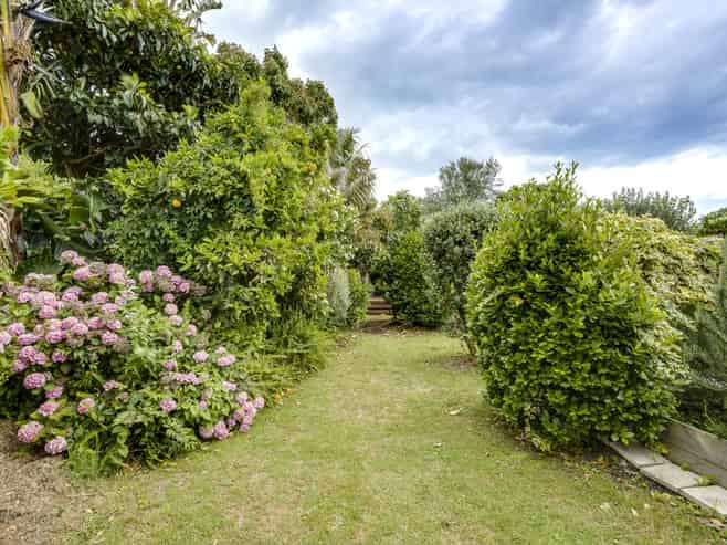 6 Hall Street, Napier South