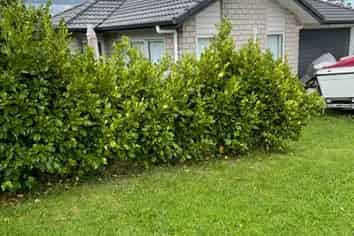 7 Pohue Avenue, Huapai