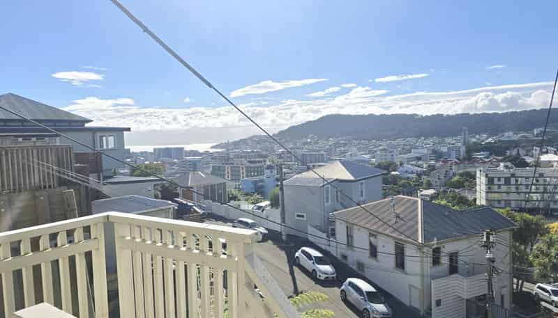 3 Maarama Cres (Lower Flat), Aro Valley