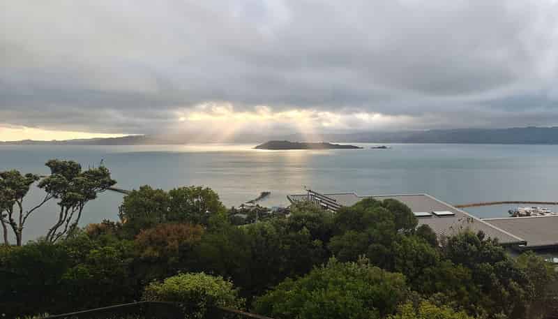 8D Nikau Road, Point Howard