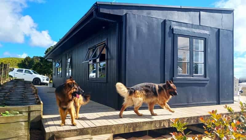 847 Pekerau Road, Lake Ohia