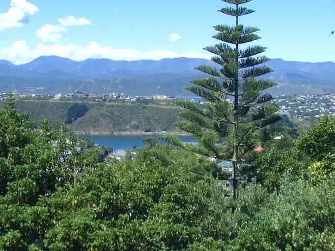 60 Marewa Road, Hataitai