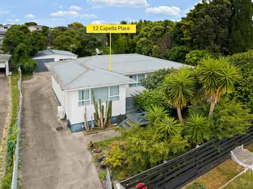 12 Capella Place, Manurewa