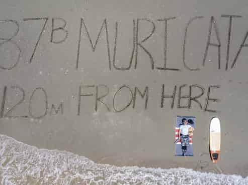 87B Muricata Avenue, Mount Maunganui