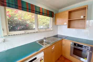 15 Ashfield Pl, Ilam