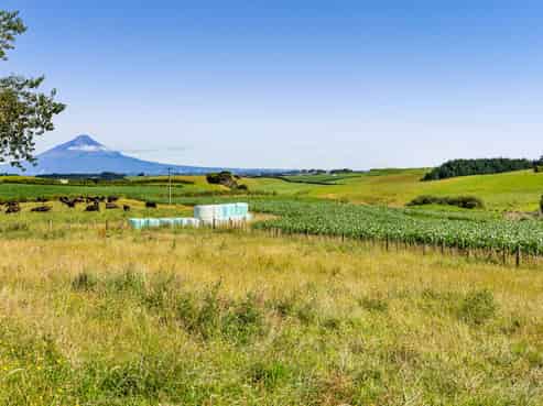 150 Wirihana Road, Hawera