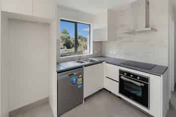 187D White Swan Road, Mount Roskill