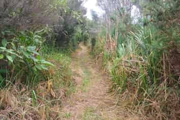 68 Banyan Road, Karikari Peninsula