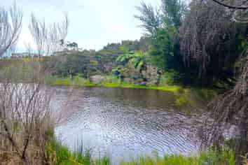 68 Banyan Road, Karikari Peninsula