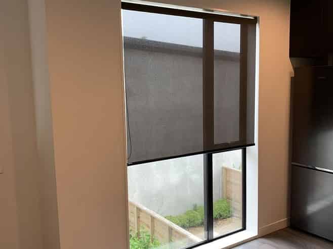 49 John Street, Petone