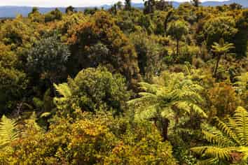 Lot 2 South Terrace Road, Karamea