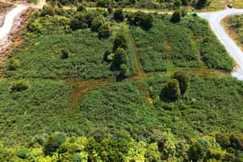 Lot 2 South Terrace Road, Karamea