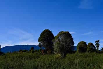 Lot 2 South Terrace Road, Karamea
