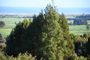 Lot 20 Sunset Heights Road, Karamea