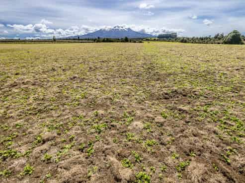 Lot 13 Matapuna Road, Horopito