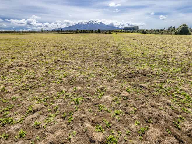 Lot 13 Matapuna Road, Horopito