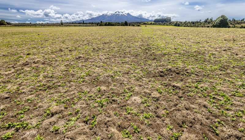 Lot 13 Matapuna Road, Horopito