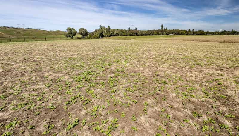 Lot 13 Matapuna Road, Horopito