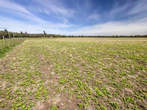 Lot 13 Matapuna Road, Horopito